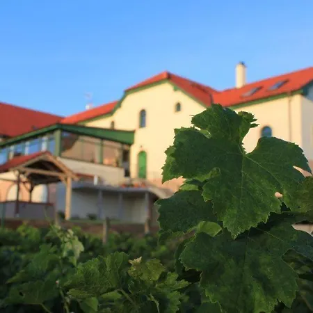 Vinohrad 3* Milotice