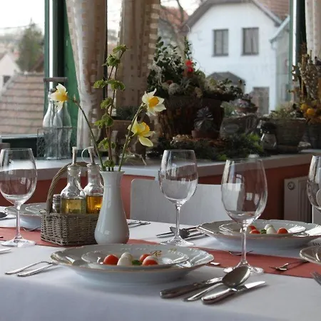Hotel Vinohrad 3*