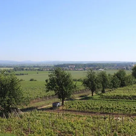 Vinohrad 3* Milotice