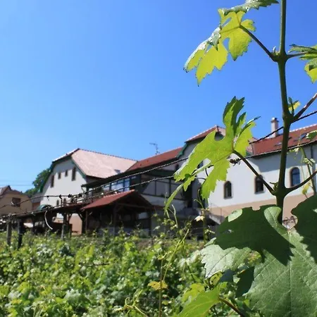 Vinohrad Hotel