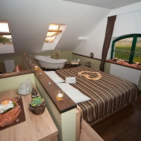 Vinohrad Hotel 3*