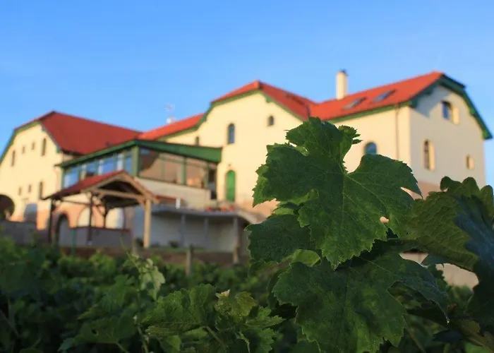 Vinohrad 3* Milotice