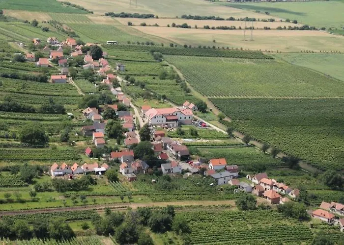 Vinohrad Отель Milotice