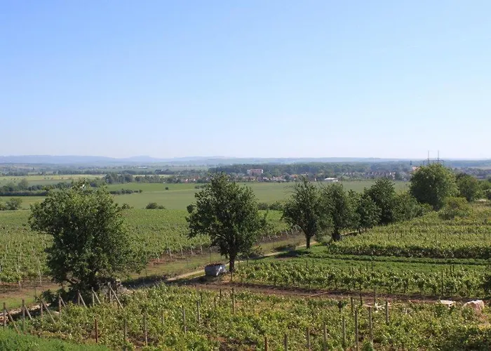 Vinohrad 3* Milotice
