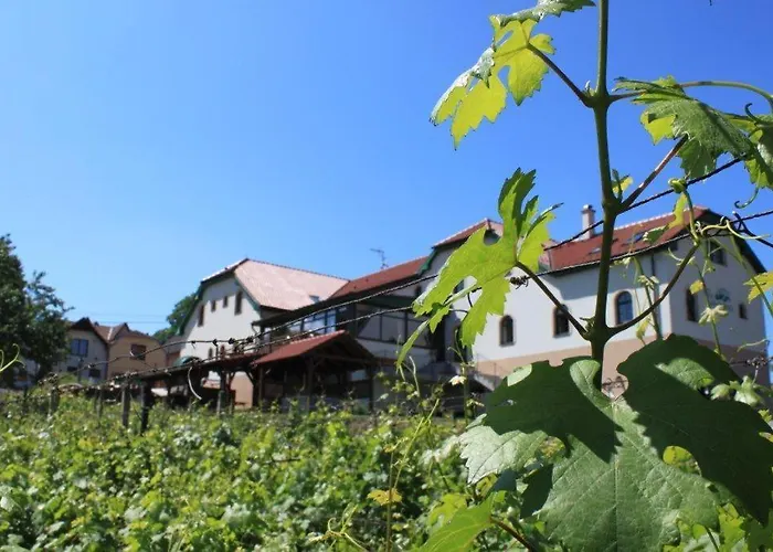 Vinohrad Hotel