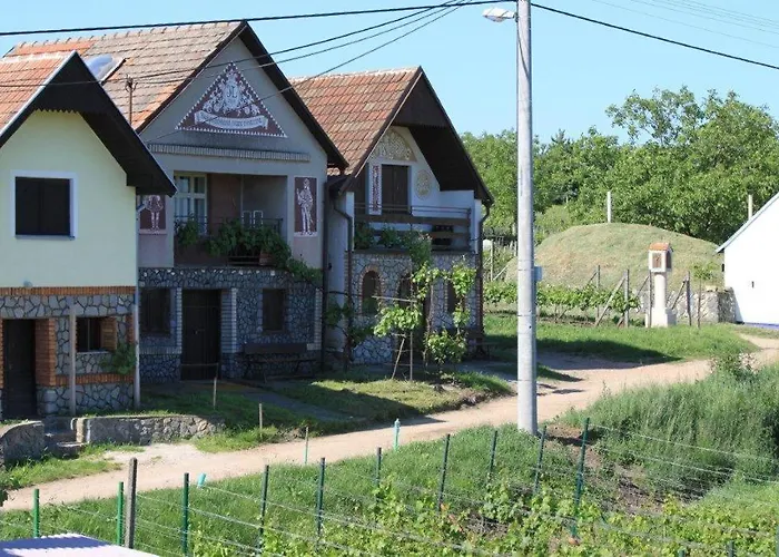 Vinohrad