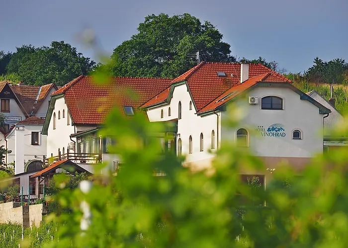 Vinohrad Hotel 3*